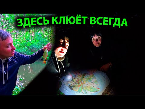 Видео: СЕКРЕТНАЯ НАЖИВКА ГДЕ ТО В ГЛУШИ.