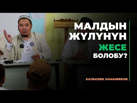 Видео: Калысбек Заманбеков: Малдын жүлүнүн жесе болобу?