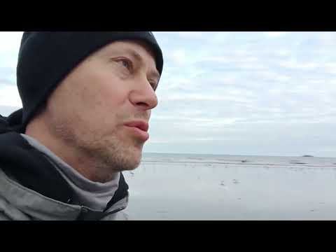 Видео: Кирилл Комаров читает стихотворение Иосифа Бродского