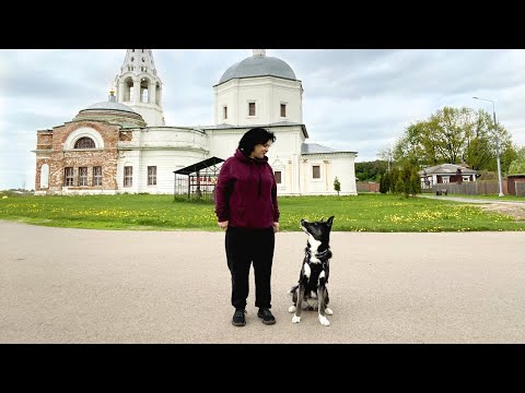 Видео: СЕРПУХОВ-едем погулять с собакой 👩🐶 ИНТЕРЕСНЫЕ места, отличия от Москвы и мои впечатления от города!