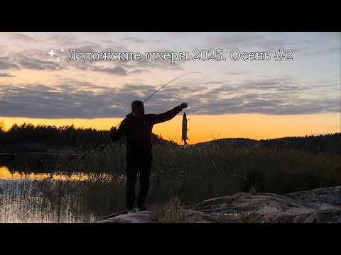 Видео: Ладожские шхеры 2025. Осень #2