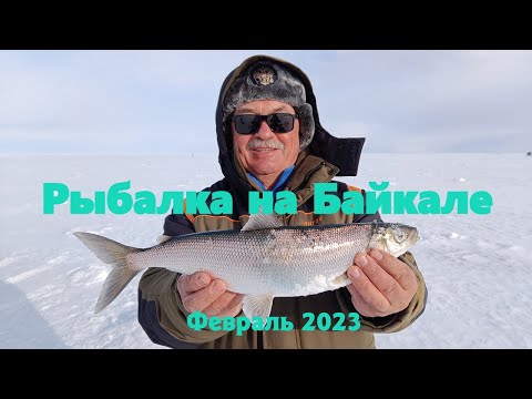 Видео: Рыбалка на Байкале 2023