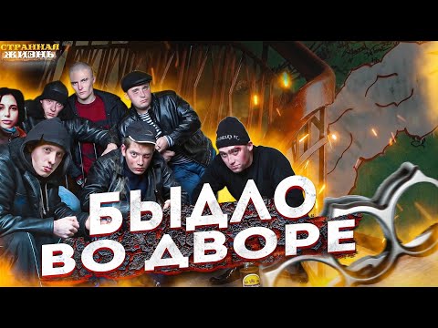 Видео: Дворовое быдло! Гопники которые мешают всем жить, устроили невыносимую жизнь всем окружающим!