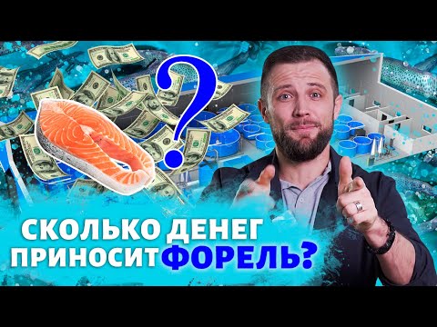 Видео: Полный РАСЧЕТ ЭКОНОМИКИ выращивания ФОРЕЛИ от ИКРИНКИ до МАГАЗИНА