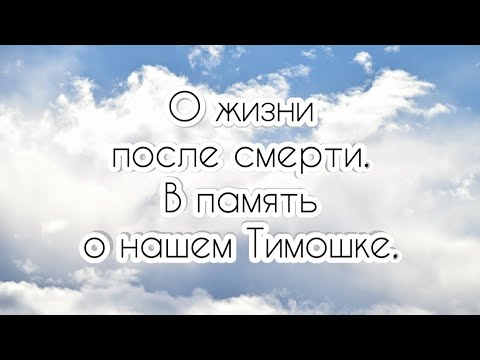Видео: О жизни после смерти. В память о нашем Тимошке.