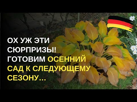 Видео: Дача в Германии. Готовимся к зиме, но не так все просто! Хотели гармонию, но вышло все наоборот!