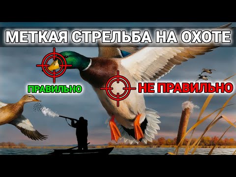 Видео: Как СТРЕЛЯТЬ В УТОК без промаха? Научись ПРАВИЛЬНО целиться за 10 минут. Стрельба уток.