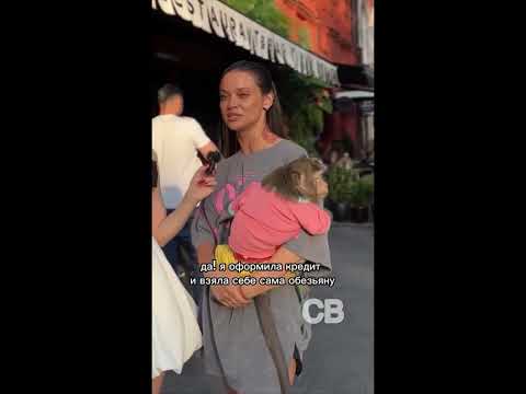 Видео: Смешные видео |лучшее из сети| подборки декабрь 2024 #16 #юмор #прикол #жиза