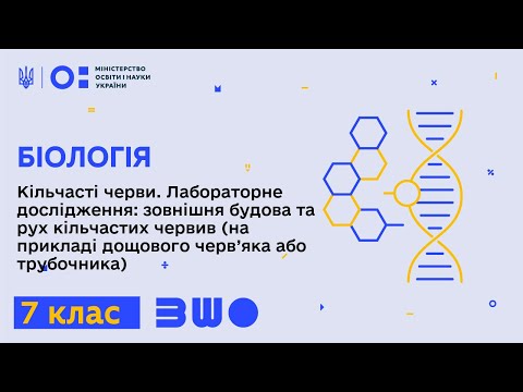 Видео: 7 клас. Біологія. Кільчасті черви. Лаб. дослідження: зовнішня будова та рух кільчастих червив Ч.1