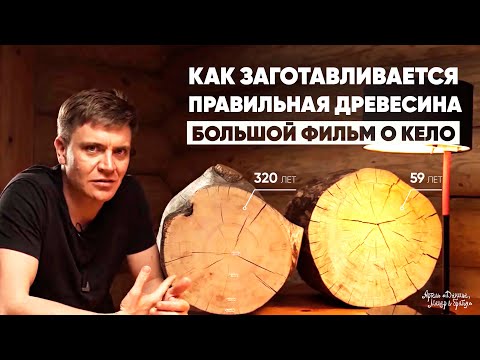 Видео: Как заготавливается ПРАВИЛЬНАЯ ДРЕВЕСИНА – Большой фильм о КЕЛО