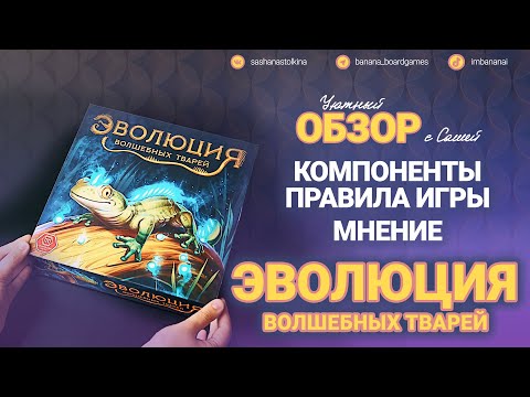 Видео: Эволюция волшебных тварей 🦎