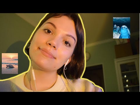 Видео: асмр новые виды животных, которые открыли за последние 10 лет.