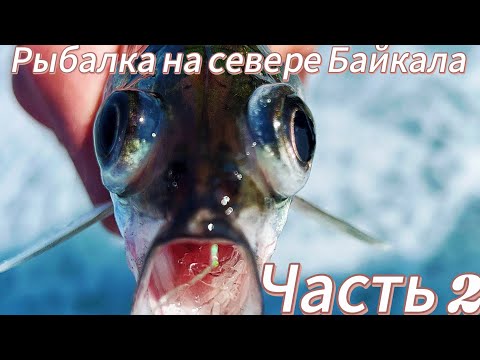 Видео: Рыбалка на севере Байкала 2024 🎣 на омуля и хариуса 😎часть 2