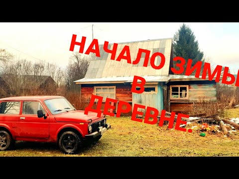 Видео: О том, о сём и ни о чём... Зима наступила.