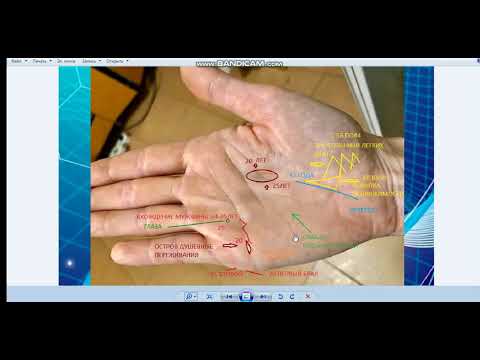 Видео: Хиромантия по фактам !