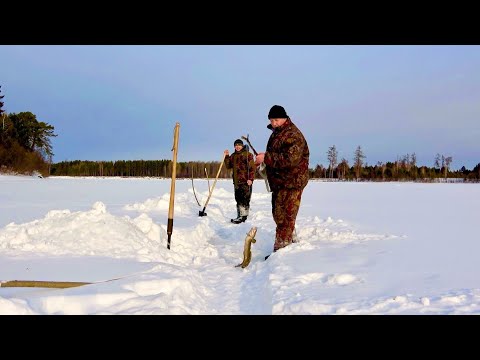 Видео: ЛОВЛЯ НАЛИМА НА УДЫ. ВЕЗЁМ ВАЛЕЖНИК НА СНЕГОХОДАХ.