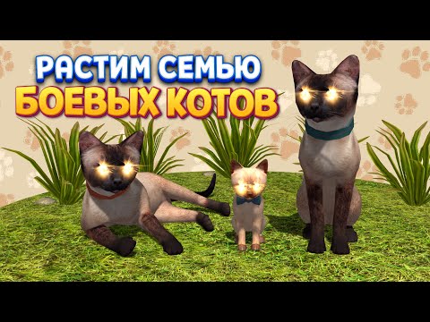 Видео: РАСТИМ СЕМЬЮ БОЕВЫХ КОТОВ ( Cat Simulator )