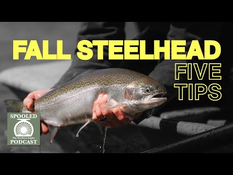 Видео: 5 советов для осеннего стальноголового тунца | Подкаст Spooled, выпуск 37