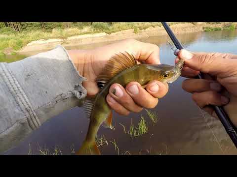Видео: Это КРУЧЕ "Отводного". Микроджиг. Как Сделать так, чтобы РЕАЛЬНО клевало!