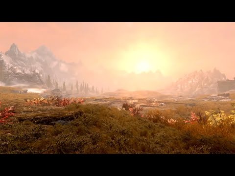 Видео: Чем Skyrim Special Edition отличается от Legendary? Сравнение изданий TES V