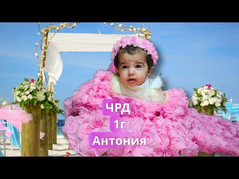 Видео: ЧРД 1г принцеса  Антония