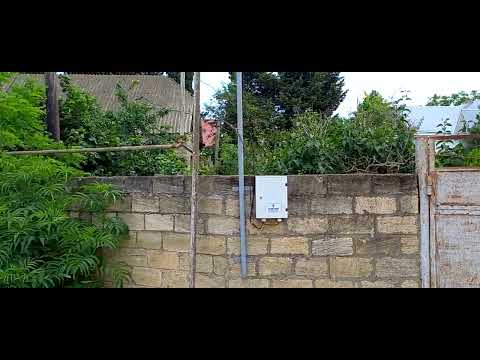 Видео: Мухтадыр. В сторону детсада.