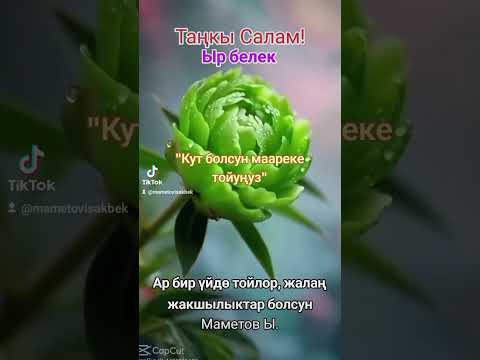 Видео: 23 октября 2025 г.