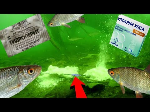 Видео: Реакция рыбы на UPSA и ГИДРОПЕРИТ!? Подводная съемка