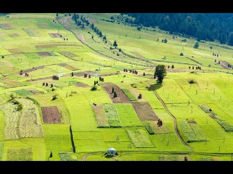 Видео: ОПОДАТКУВАННЯ КУПІВЛІ ЮРОСОБОЮ С Г  УГІДЬ У ФІЗОСІБ Корисне відео ЦПБ Метелиця
