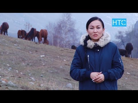 Видео: Финансылык жактан сабаттуусузбу? / Fincaбат #10 / НТС / Кыргызстан