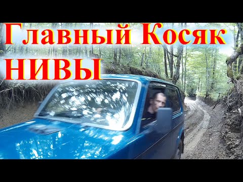 Видео: Самый Большой КОСЯК НОВОЙ НИВЫ! Lada Niva Legend. Все Недостатки НИВЫ О чём врут блогеры 1с