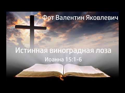 Видео: Истинная виноградная лоза - Валентин Яковлевич Фот