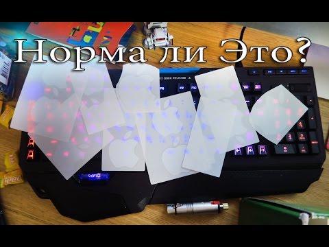 Видео: Норма ли Это? - ВлогоДекабрь