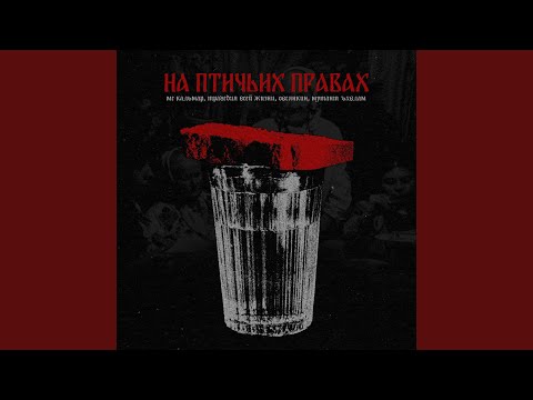 Видео: На птичьих правах