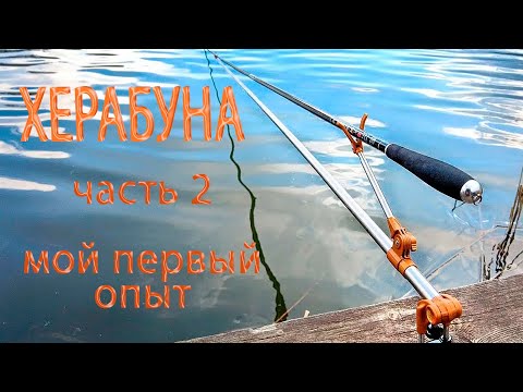 Видео: ХЕРАБУНА часть 2!!! Мой первый опыт.