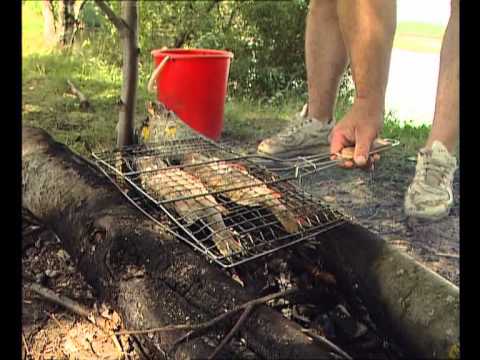 Видео: Запекание окуней на костре