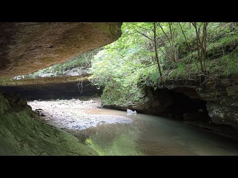 Видео: Кисловодск. Прогулка в ущелье реки Кабардинки. 4К 30fps.