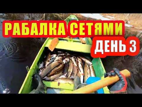 Видео: Весенняя Рыбалка сетями на Лесном Озере | День 3