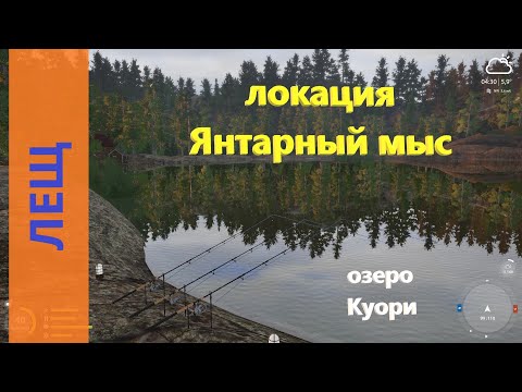 Видео: Русская рыбалка 4 - озеро Куори - Лещ со скалистого берега