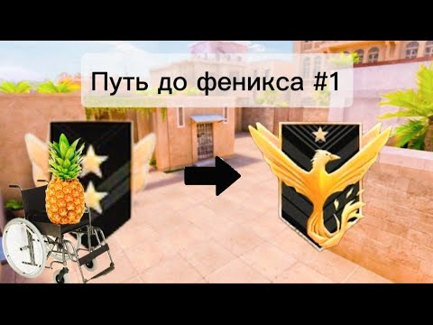 Видео: Путь до феникса #1 🍍 so2