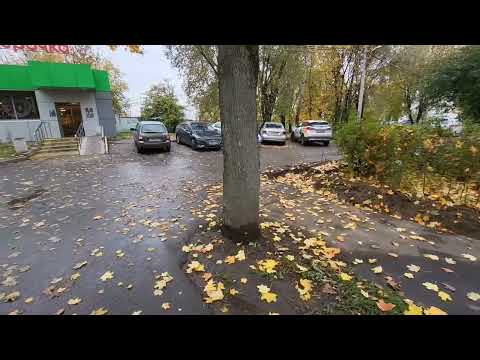 Видео: 9 октября 2025г. Осенний день в Щербинке, Москва. 