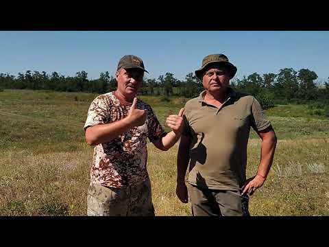 Видео: Загонник или коллиматор?!? Вечный спор! Какой прицел лучше...