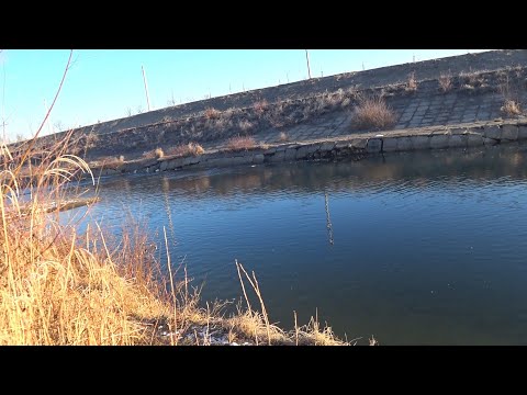 Видео: Ловлю на рачка