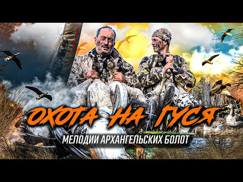Видео: ОХОТА НА ГУСЯ / Мелодии Архангельских болот / Охота с духовыми манками