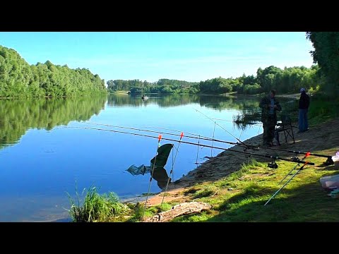 Видео: Донка + Фидер ! Ловля леща на ОКЕ! Рыбалка в июле 2022!