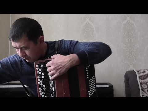 Видео: Разбор песни "Ой, мороз, мороз" на баяне для начинающих