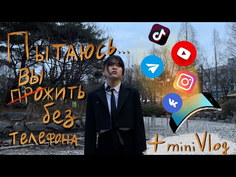 Видео: Пытаюсь отказаться от телефона и вот, что вышло… // Школьный влог в Корее // Катана