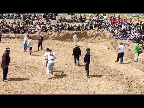 Видео: #a  гуштини калон дар Дангара