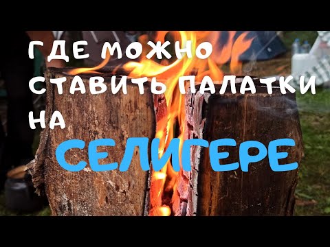 Видео: Кемпинговые места на Селигере/Палаточный отдых на озёрах Селигера