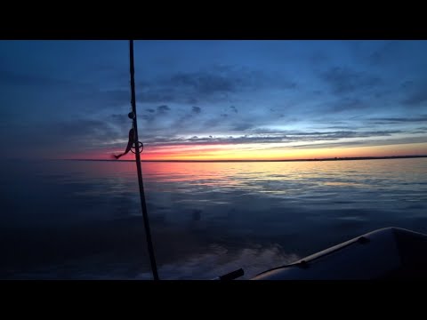 Видео: лютый #жор судака 🎣🐋на одной проводке три поклевки нашел на трёх метрах,вот это выход такое впервые